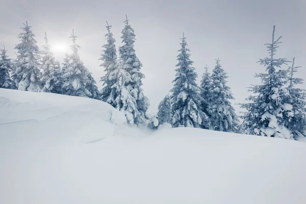 Fantastico paesaggio invernale — Foto Stock