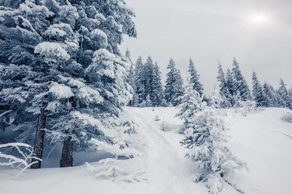 Paysage hivernal fantastique — Photo