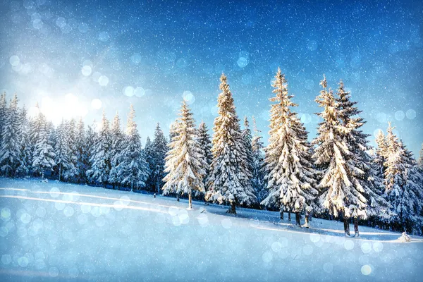 Traumhafte Winterlandschaft — Stockfoto