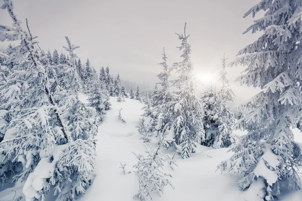 Фантастичний зимовий пейзаж — стокове фото