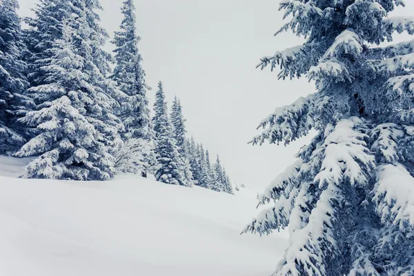 Fantastico paesaggio invernale — Foto Stock