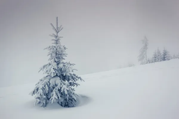 Fantástico paisaje de invierno — Foto de Stock