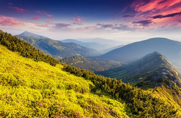 Fantastique journée ensoleillée est dans les montagnes — Photo