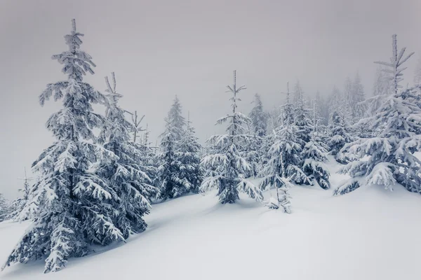 Fantastiskt vinterlandskap — Stockfoto