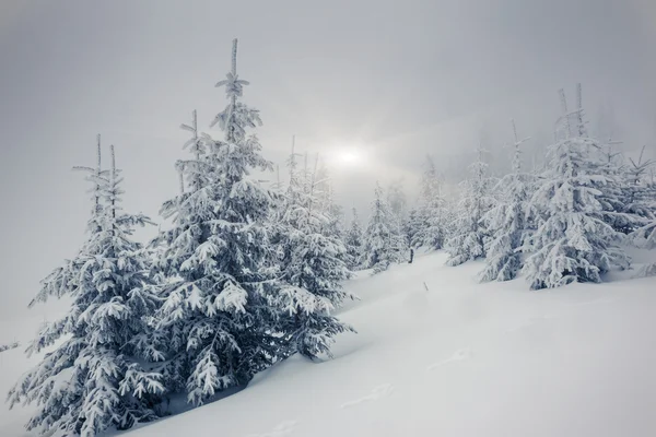 Fantastico paesaggio invernale — Foto Stock