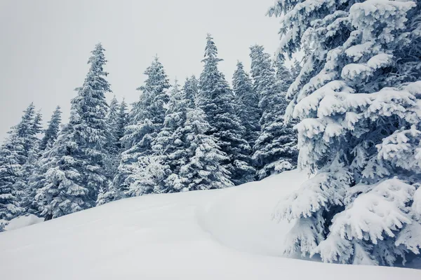 Fantastico paesaggio invernale — Foto Stock