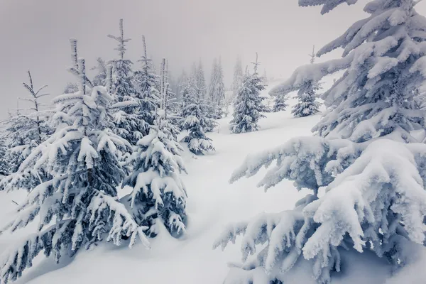 Fantástica paisagem de inverno — Fotografia de Stock