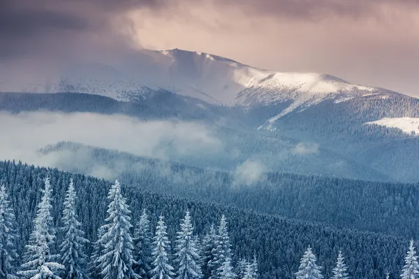 Fantastico paesaggio invernale — Foto Stock