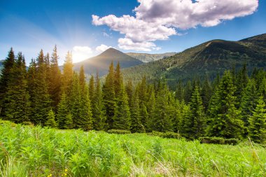 sabah güneşli bir gün