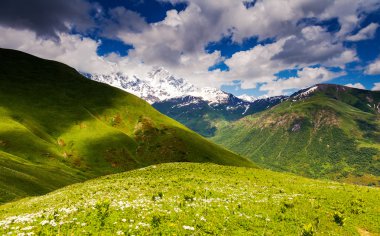 dramatik gökyüzü ile Alpine meadows