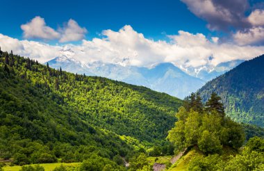 alpine meadows güzel görünümü