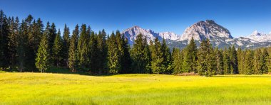 Dağları Milli Parkı durmitor