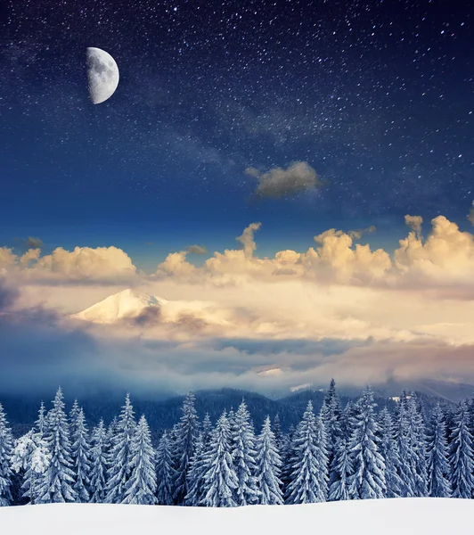 Paisaje invernal con árboles cubiertos de nieve —  Fotos de Stock