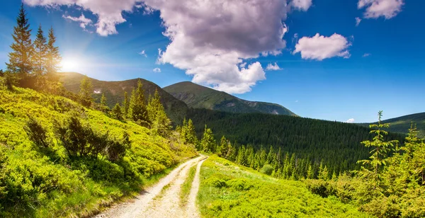 Es día soleado en la montaña — Foto de Stock