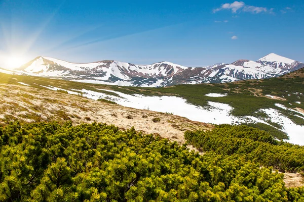 Beautiful sunny day — Stok fotoğraf