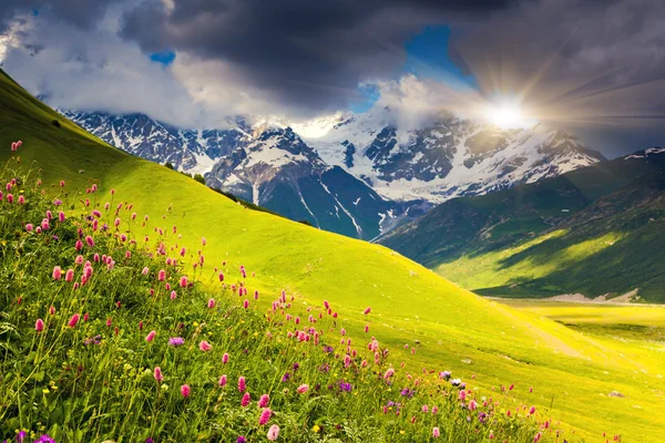 Пасмурный день в альпийских — стоковое фото