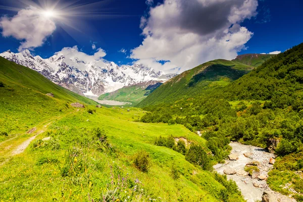 Alp Çayırları — Stok fotoğraf