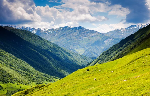 Alp Çayırları — Stok fotoğraf