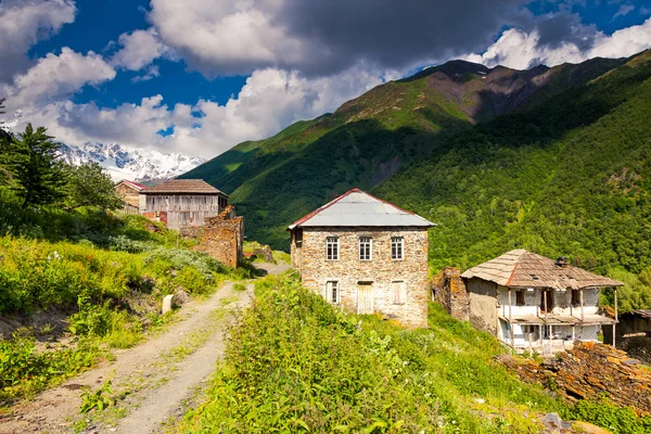 Prati alpini — Foto Stock