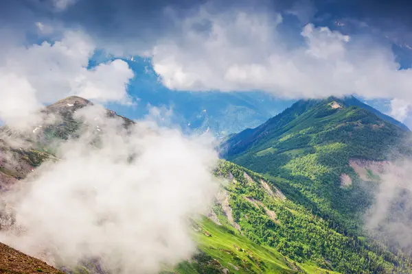 Beautiful view of alpine meadows — Stock Photo, Image