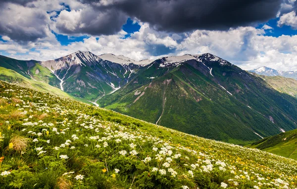 Daha önce fırtına gökyüzü — Stok fotoğraf