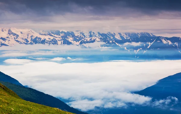 Vacker utsikt över alpina ängar — Stockfoto