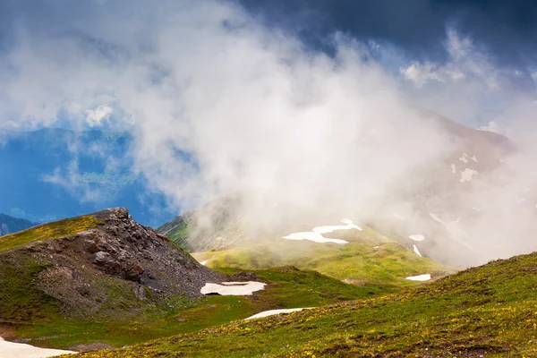 Beautiful view of alpine meadows — Stock Photo, Image