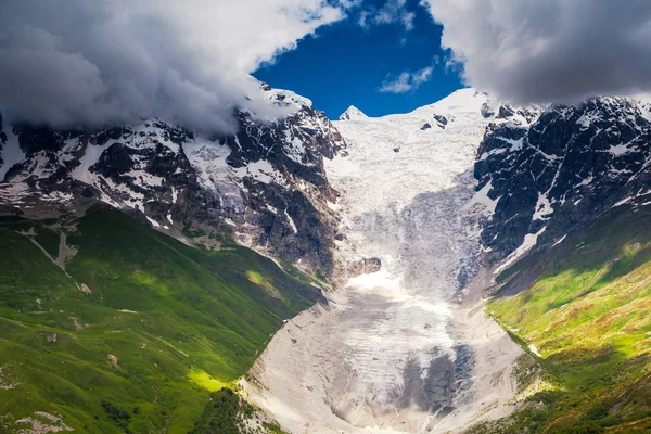 Alpenweiden — Stockfoto