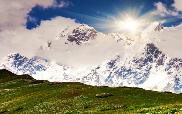 Hermosa vista de los prados alpinos — Foto de Stock