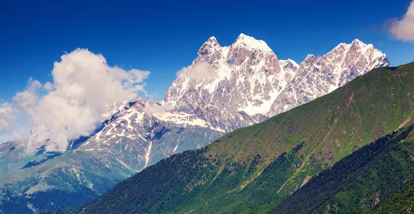 Alpine meadows at the foot of Mt — Stock Photo, Image