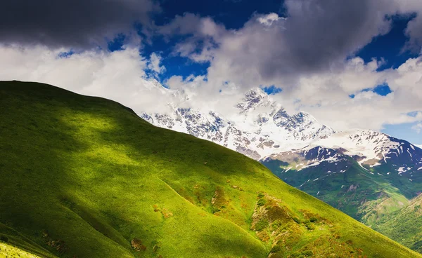 Альпийские луга с драматическим небо — стоковое фото