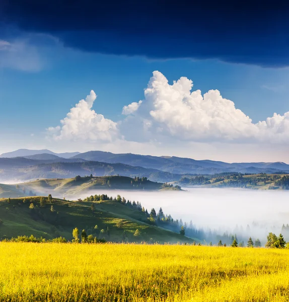 Sunny day is in mountain landscape — Stock Photo, Image