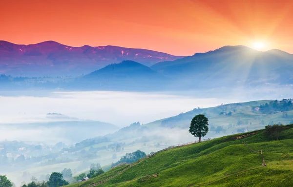 Dağlarda gün batımı manzarası — Stok fotoğraf