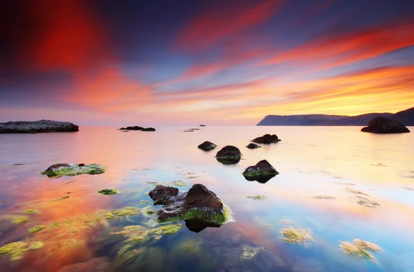 Sommer Sonnenuntergang über der se — Stockfoto