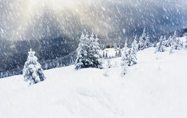 Solnedgång i vinter bergen — Stockfoto