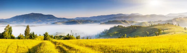Morning sunny day is in mountain landscape — Stock Photo, Image