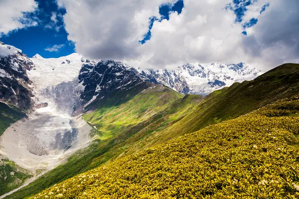 Prados alpinos ao pé da geleira de tetnuldi — Fotografia de Stock