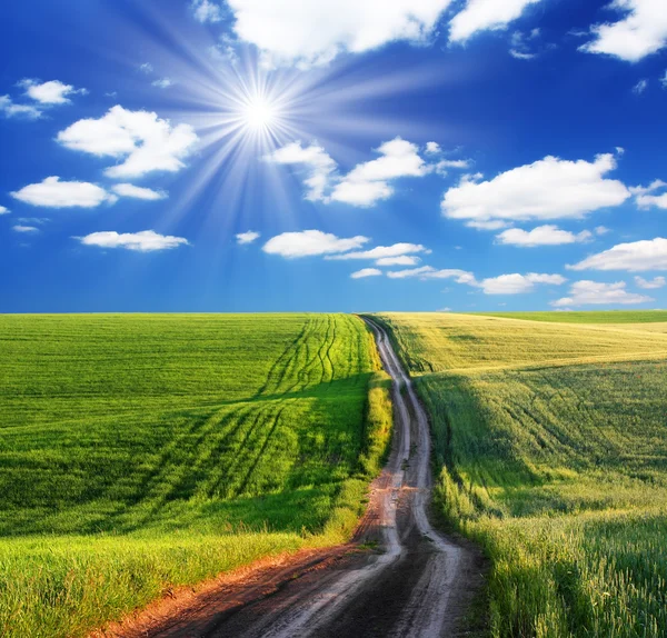 Voorjaar groen veld en mooie blauwe hemel — Stockfoto