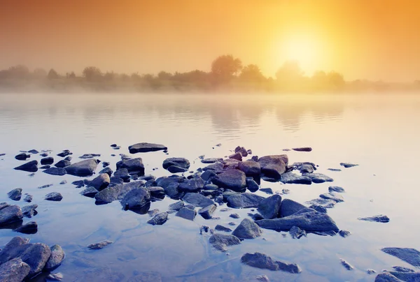 Sunset in the river — Stock Photo, Image