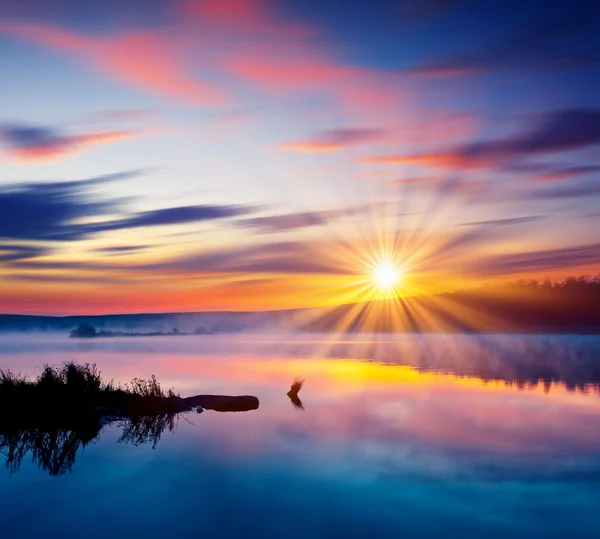 Summer sunset in the lake — Stock Photo, Image