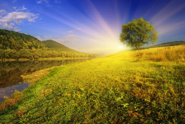 Nehirde yaz günbatımı. — Stok fotoğraf