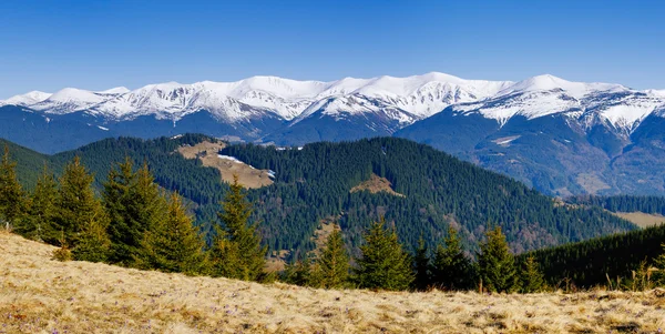 Paisagem montesa — Fotografia de Stock