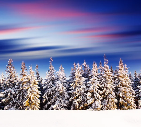 Solnedgång i vinter bergen — Stockfoto