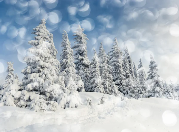 Vinterlandskap — Stockfoto