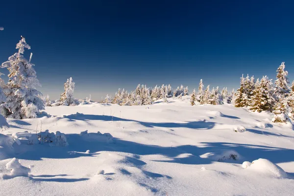 Schnee in den Bergen. — Stockfoto