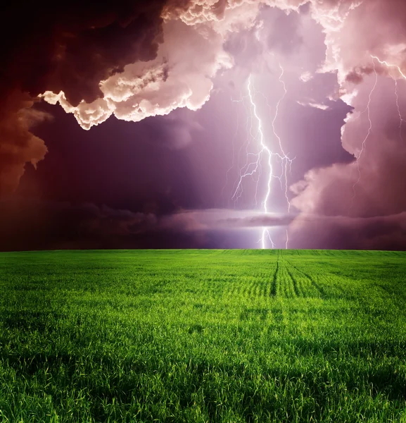 Lightning in green meadow — Stock Photo, Image