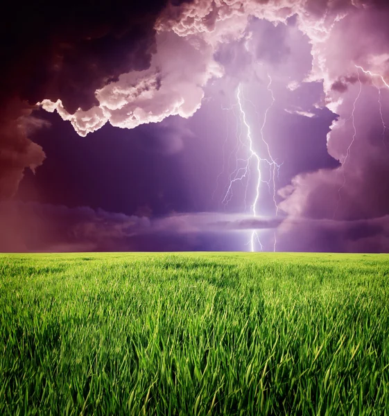 Lightning in green meadow. — Stock Photo, Image