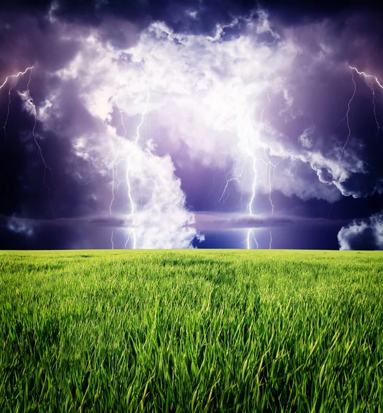 Lightning in green meadow. — Stock Photo, Image