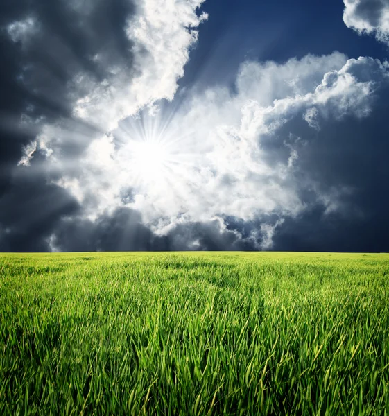 Himlen innan stormen på fältet — Stockfoto