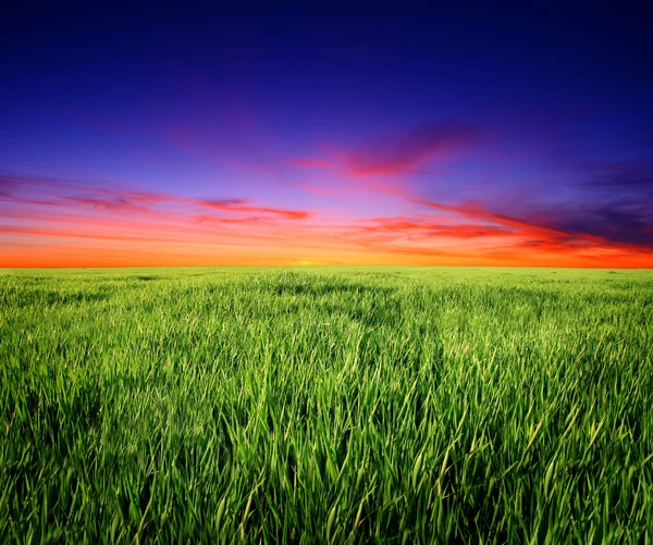 Pôr do sol sobre o campo — Fotografia de Stock